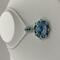 14mm Swarovski Element Crystal 